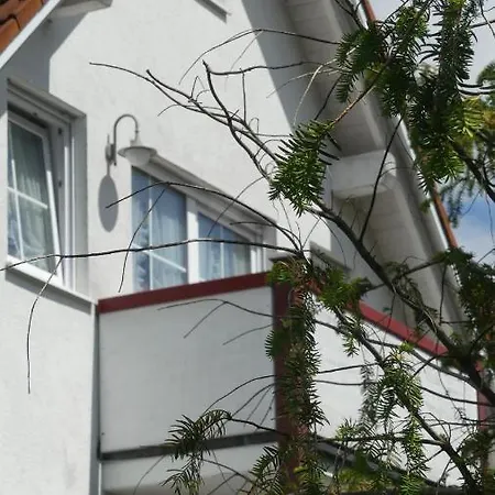 Apartment Mittl