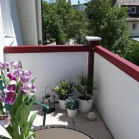 Apartment Mittl